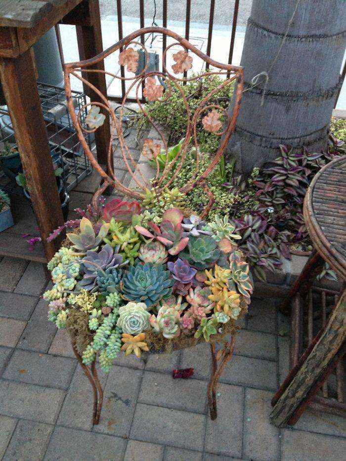 Суккулентный сад на стуле