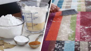 Как сделать полностью натуральное сухое средство для чистки ковров 35 | Дока-Мастер