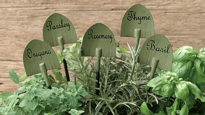 Как все лето выращивать сочную зелень к столу 1 | Дока-Мастер