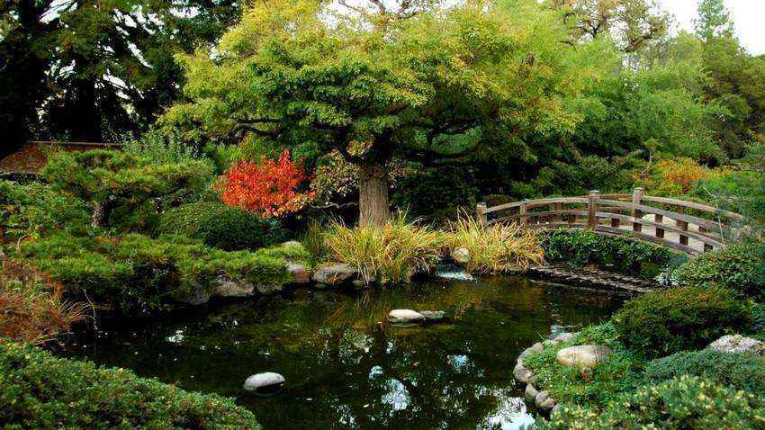 Золотые правила организации японского сада 2 | Дока-Мастер