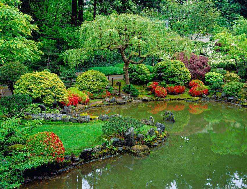 Золотые правила организации японского сада 4 | Дока-Мастер