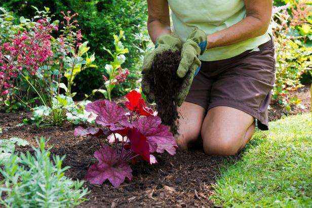 6 советов начинающим садоводам 4 | Дока-Мастер