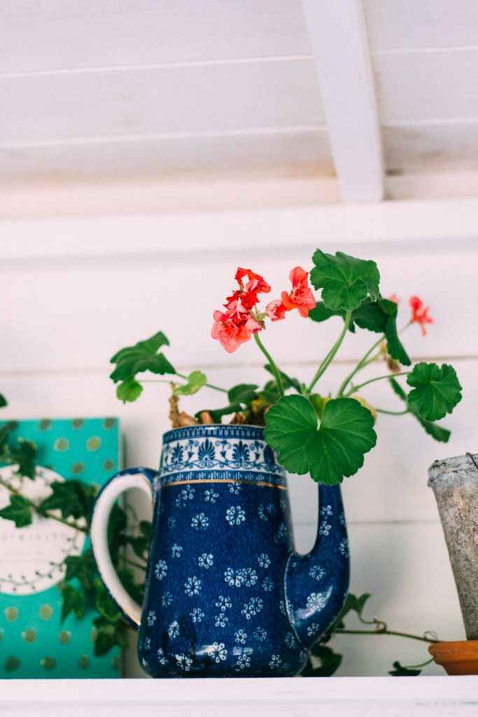 Чудесные цветочные горшки из старых чайников 12 | Дока-Мастер