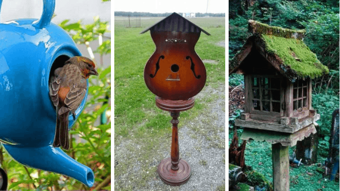 Удивительные домики для птиц которые можно сделать своими руками 1 | Дока-Мастер