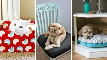 Кровати для домашних животных из подручных материалов 1 | Дока-Мастер