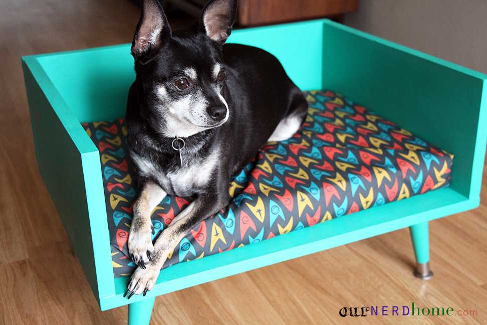 Кровати для домашних животных из подручных материалов 19 | Дока-Мастер