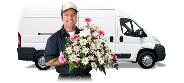 Международный сервис доставки цветов – цветы на разные случаи жизни 2 | Дока-Мастер