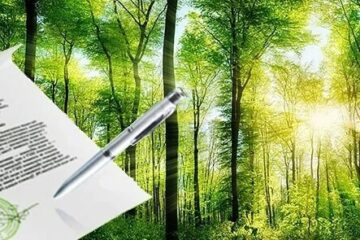 Разработка проектной документации для лесного участка: от замысла до реализации
